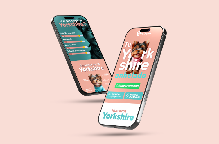 Tu Cachorro Tienda - Yorkshire
